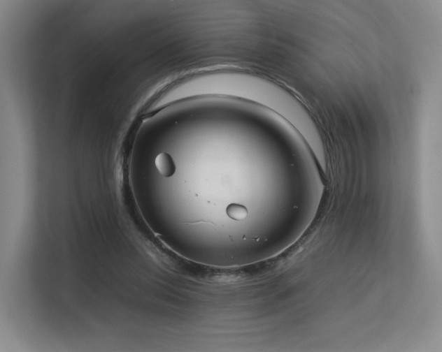 X0000113240350200909101413