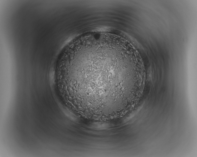 X0000113240351200909101413