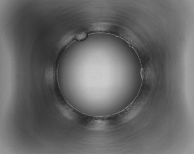 X0000113240352200909101413