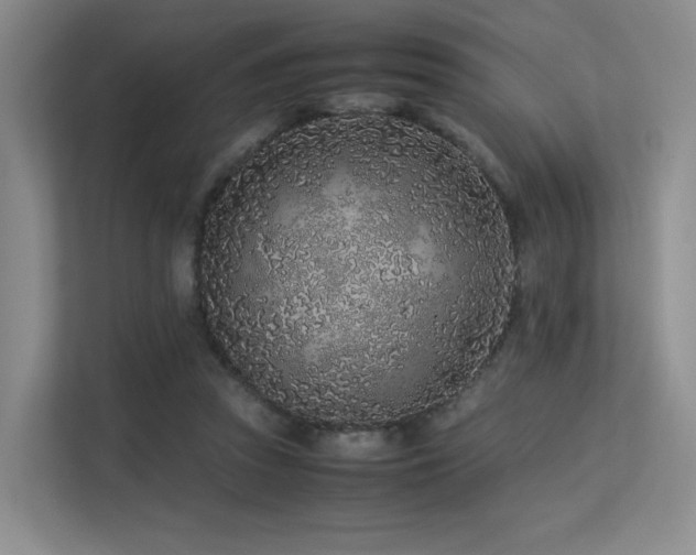 X0000113240353200909101413