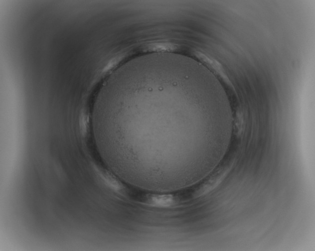 X0000113240355200909101413