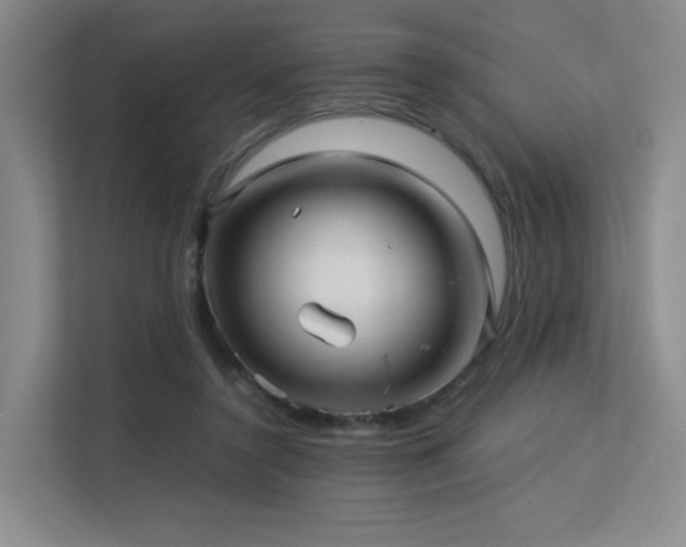 X0000113240356200909101413