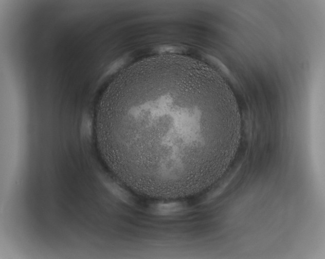 X0000113240357200909101413