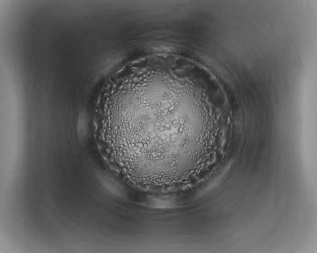 X0000113240359200909101413