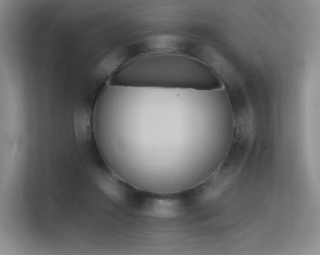 X0000113240360200909101413