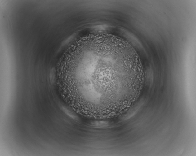 X0000113240361200909101413