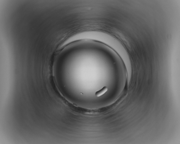 X0000113240362200909101413