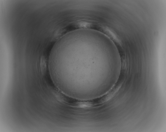 X0000113240363200909101413