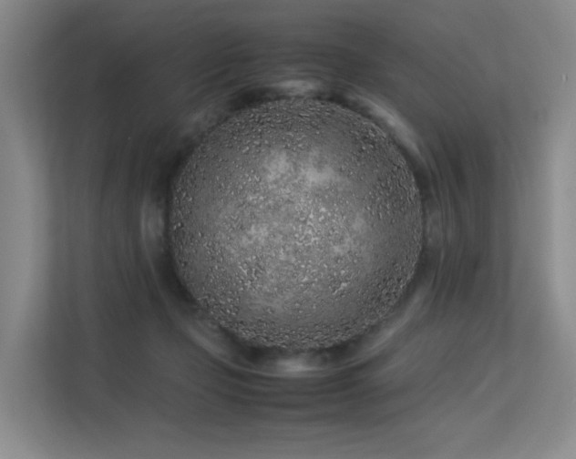 X0000113240365200909101413