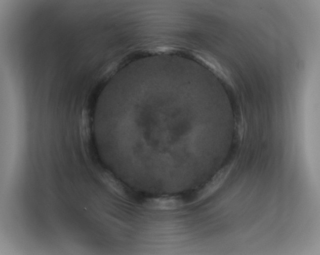 X0000113240366200909101413