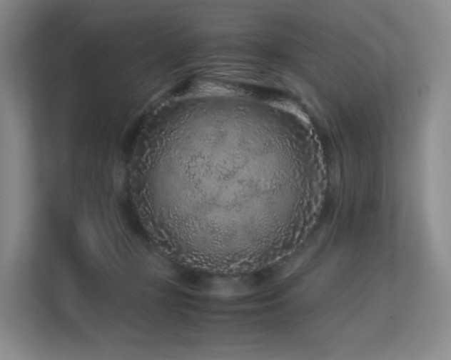 X0000113240367200909101413