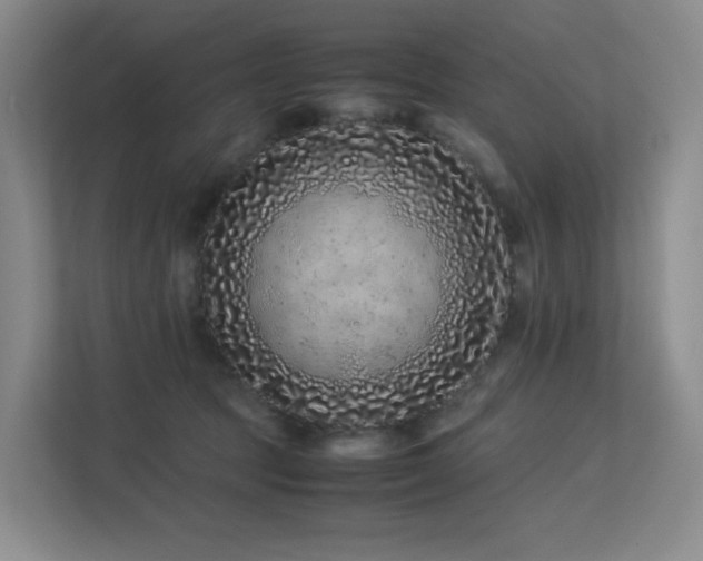 X0000113240369200909101413