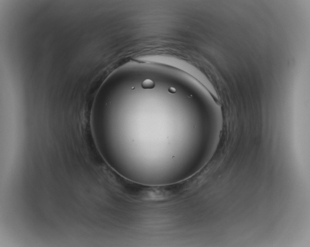 X0000113240372200909101413