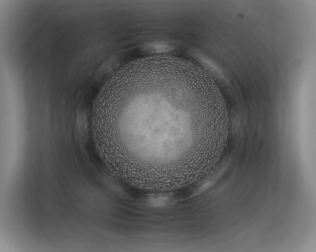 X0000113240373200909101413