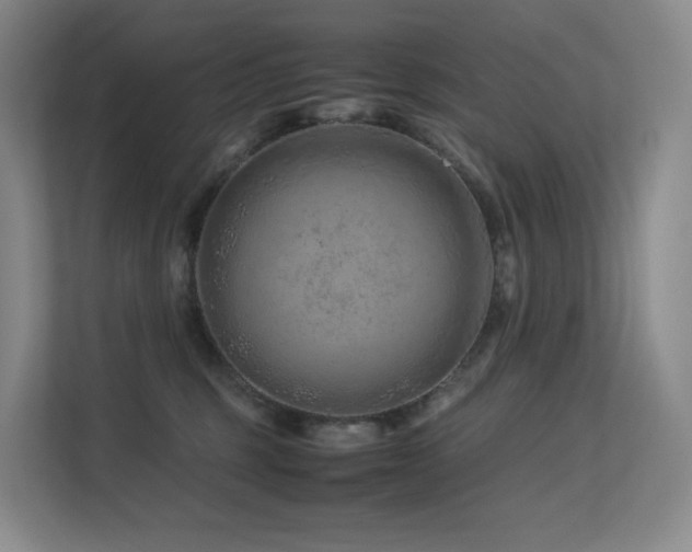 X0000113240375200909101413