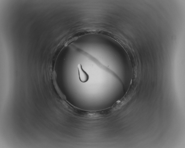 X0000113240376200909101413