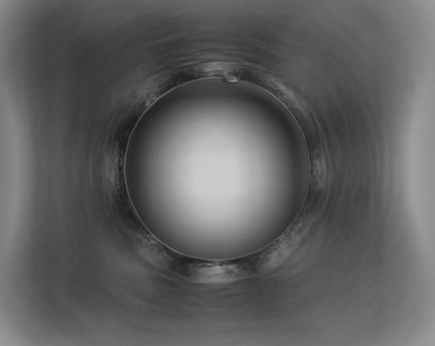 X0000113240379200909101413