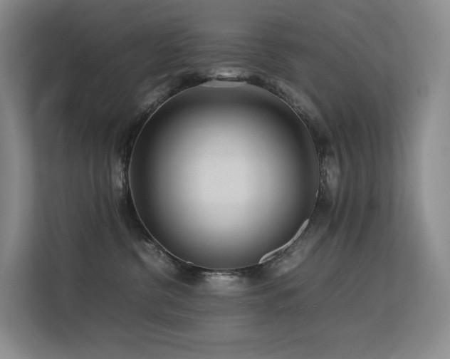 X0000113240380200909101413