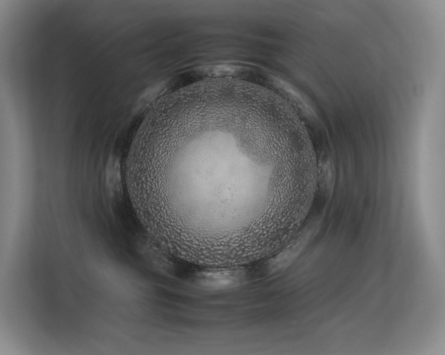 X0000113240381200909101413