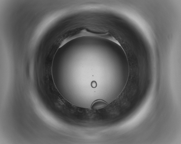 X0000113240382200909101413