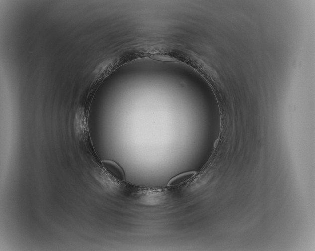 X0000113240384200909101413