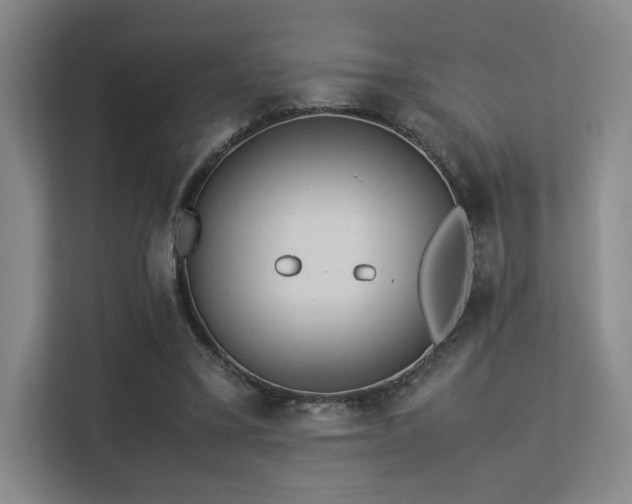 X0000113240395200909101412