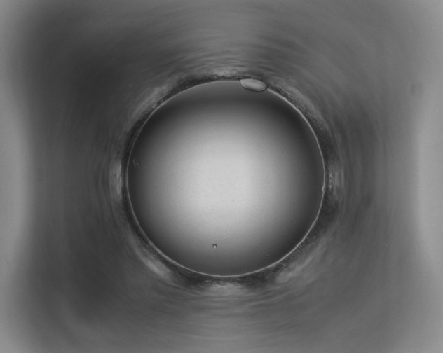 X0000113240397200909101412