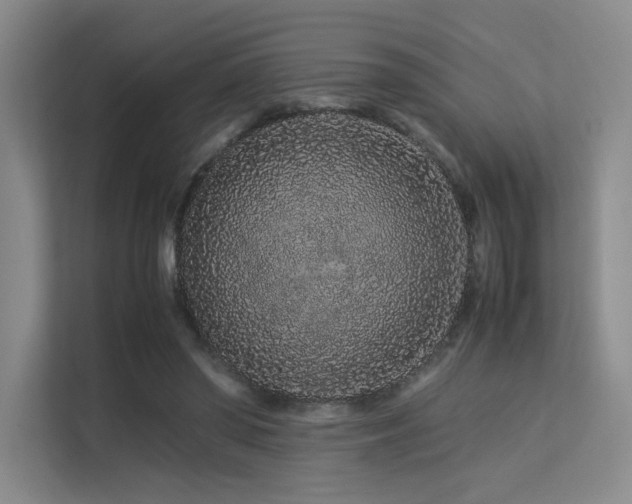 X0000113240398200909101412