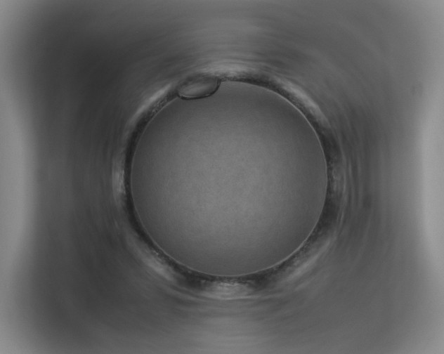 X0000113240399200909101412