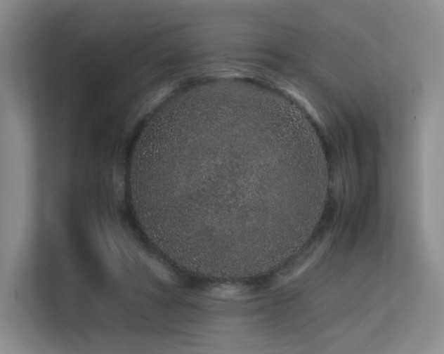 X0000113240402200909101412