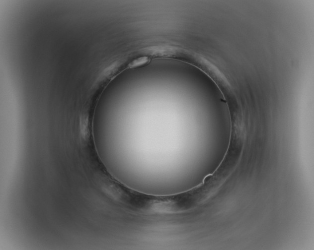 X0000113240403200909101412