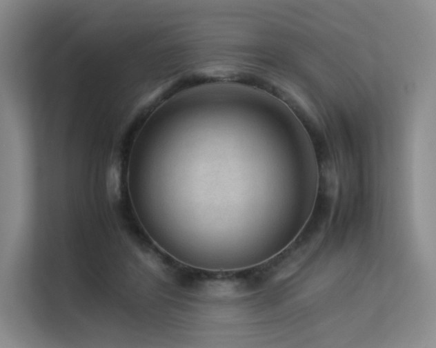 X0000113240404200909101412