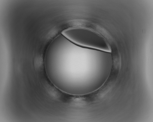 X0000113240407200909101412