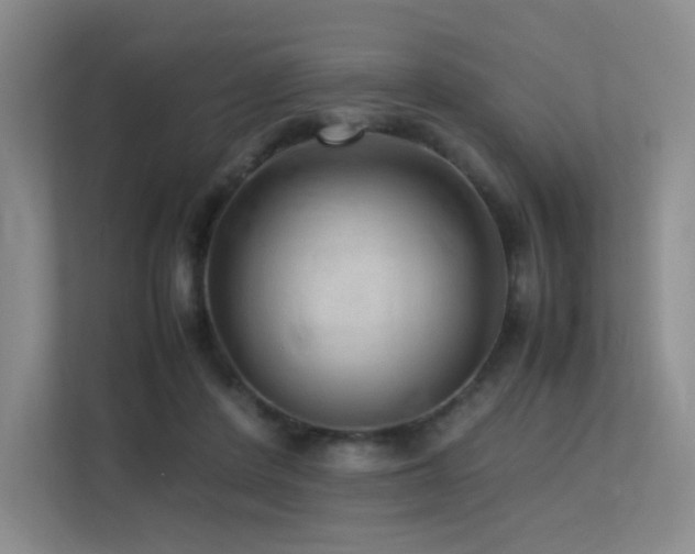 X0000113240408200909101412