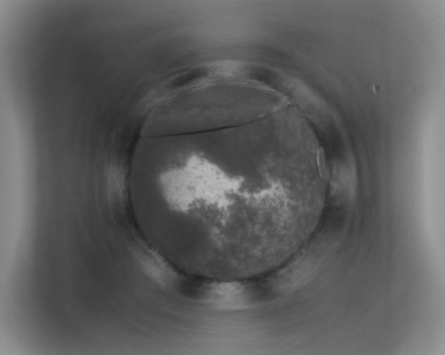 X0000113240409200909101412