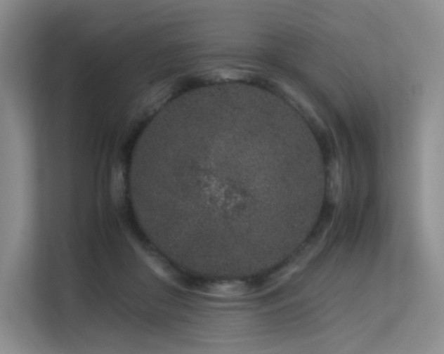 X0000113240410200909101412