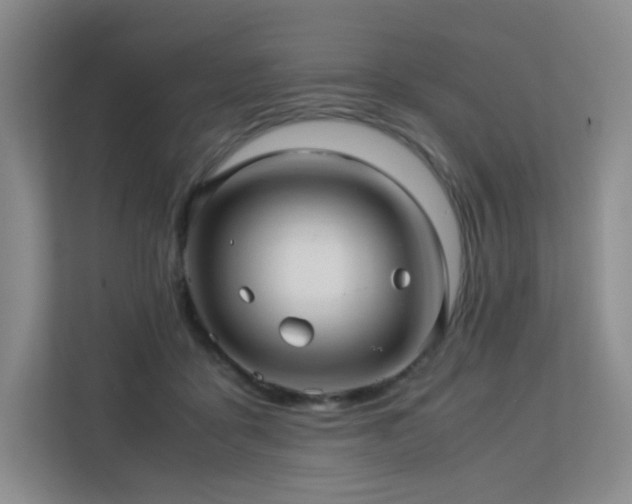 X0000113240411200909101412