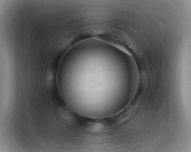 X0000113240412200909101412