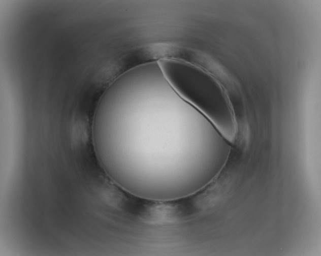 X0000113240413200909101412