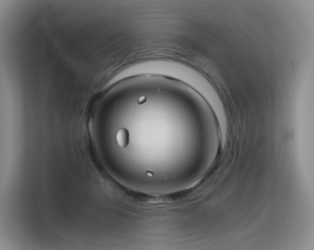 X0000113240415200909101412