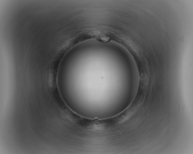 X0000113240416200909101412