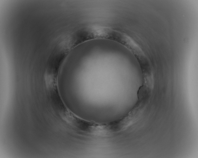 X0000113240419200909101412