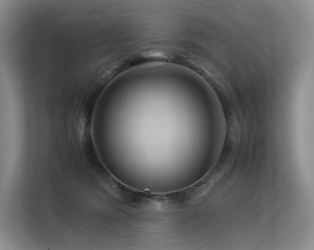 X0000113240420200909101412