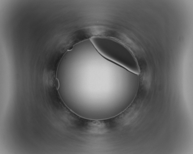 X0000113240421200909101412