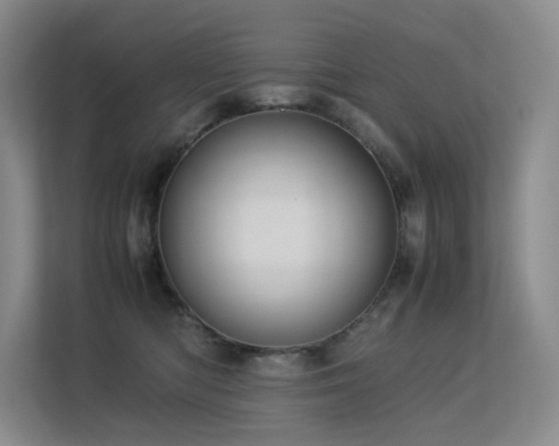 X0000113240422200909101412