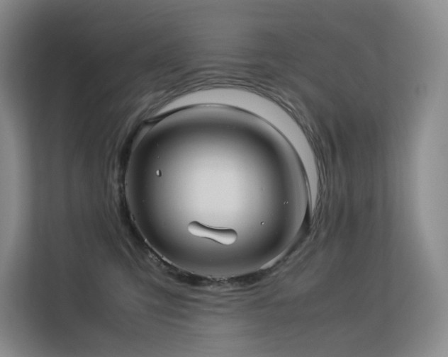 X0000113240423200909101412