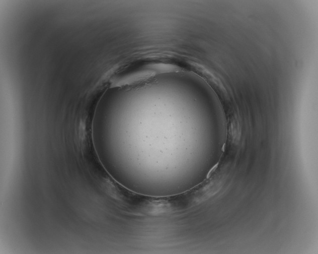 X0000113240424200909101412