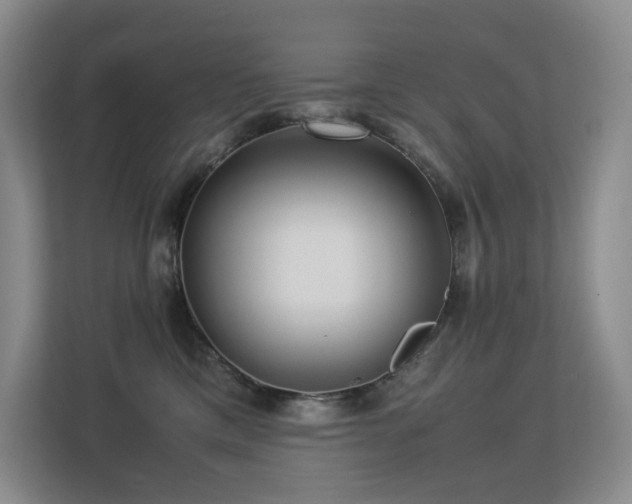 X0000113240425200909101412