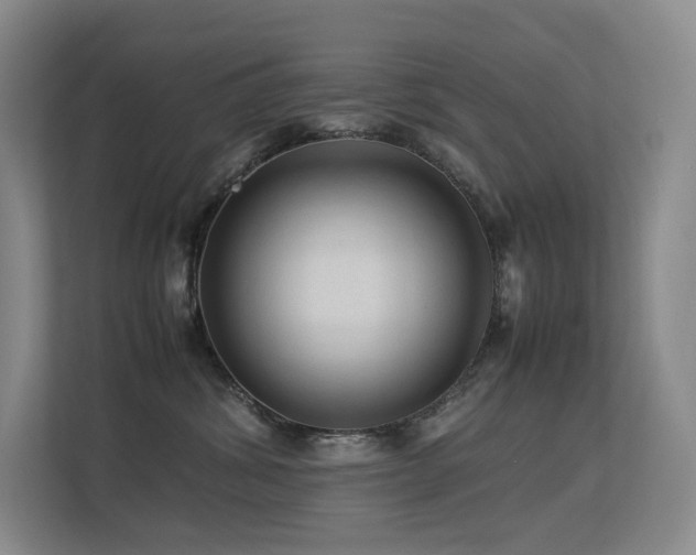 X0000113240428200909101412