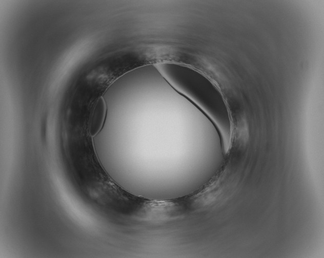 X0000113240429200909101412